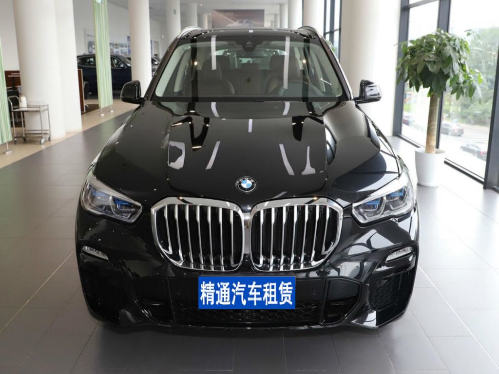 宝马X52021款 改款 xDrive40i M运动套装