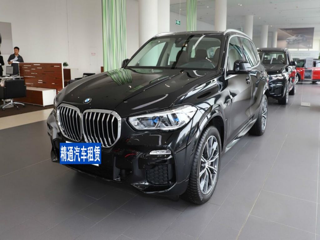 宝马X52021款 改款 xDrive40i M运动套装